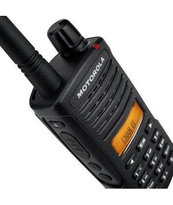 XT600d Rádios bidirecionais sem licença